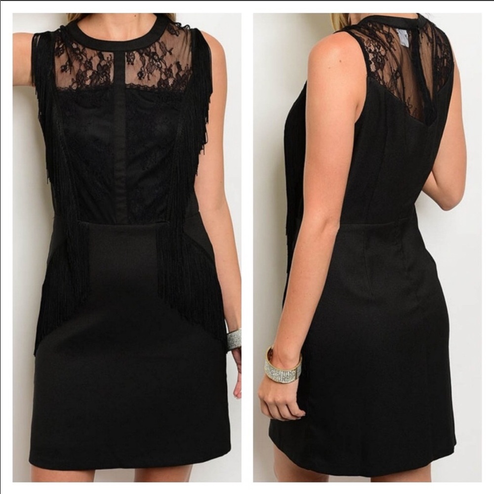 NWT Esley Fringed Sleeveless Mini Lacey Mini Dress